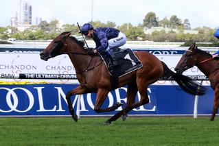 Impressive Magic Night Stakes Win For Karaka Graduate Tulip. Photo: Equine Images.